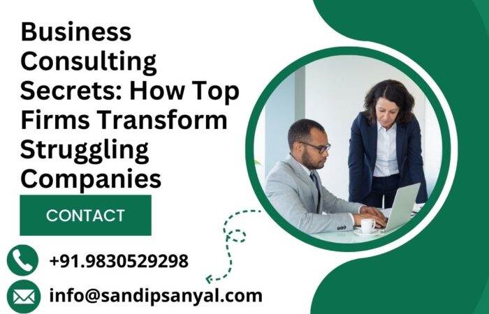 Business Consulting Secrets How Top Firms Transform Struggling Companies Business Consulting Secrets: How Top Firms Transform Struggling Companies