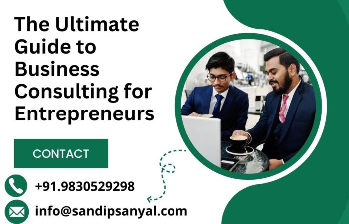 The Ultimate Guide to Business Consulting for Entrepreneurs.sandipsanyal.com (1) The Ultimate Guide to Business Consulting for Entrepreneurs.sandipsanyal.com