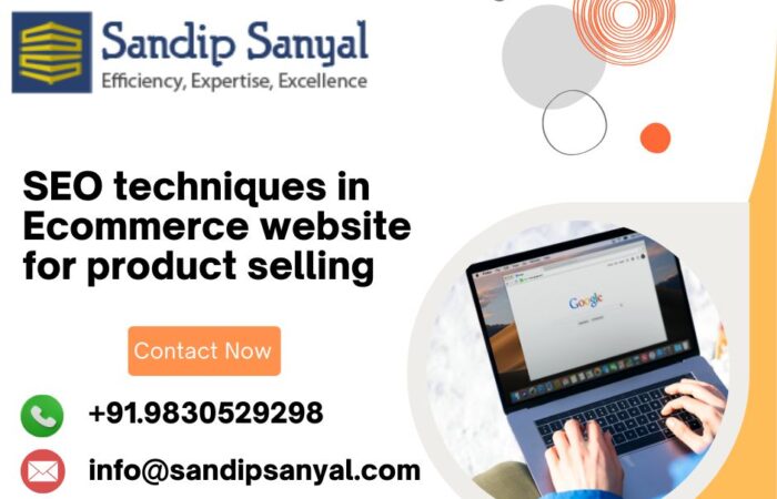 SEO techniques in Ecommerce website for product selling  SEO techniques in Ecommerce website for product selling