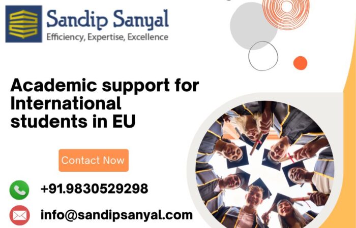 Academic support for International students in EU