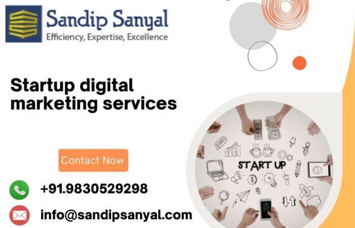 Startup digital marketing services