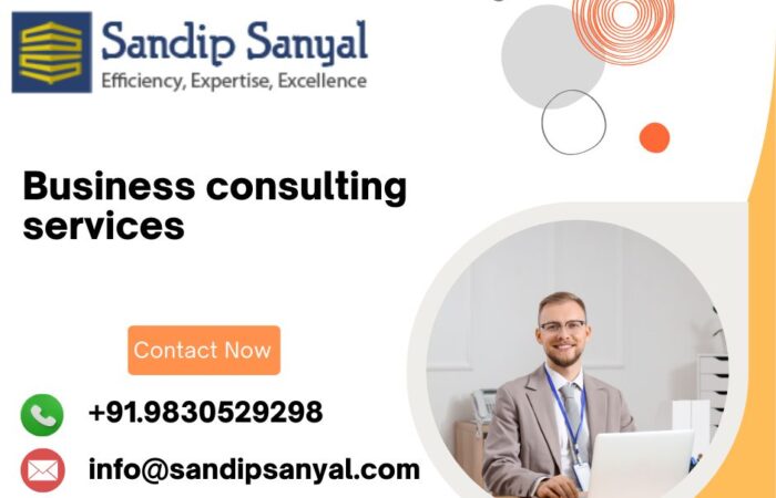 Business consulting services