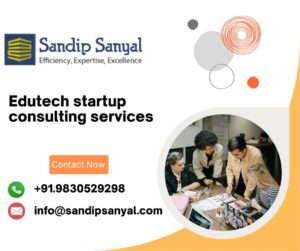 Edutech startup consulting services