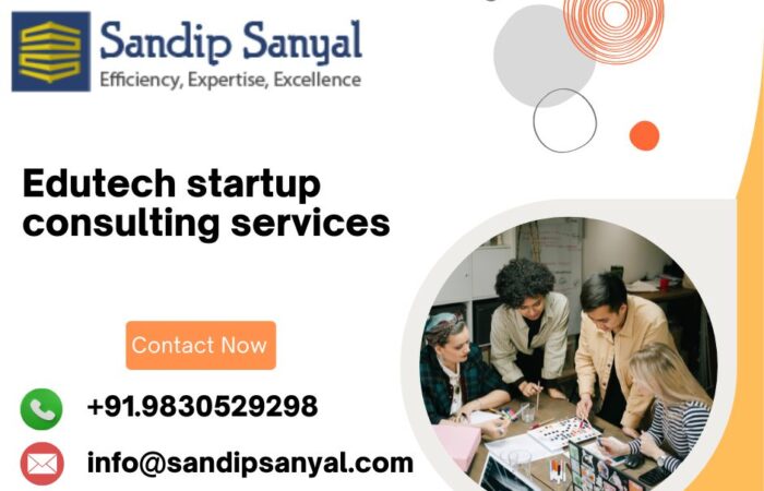Edutech startup consulting services